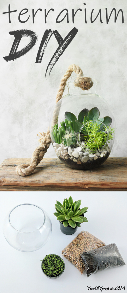 Terrarium DIY