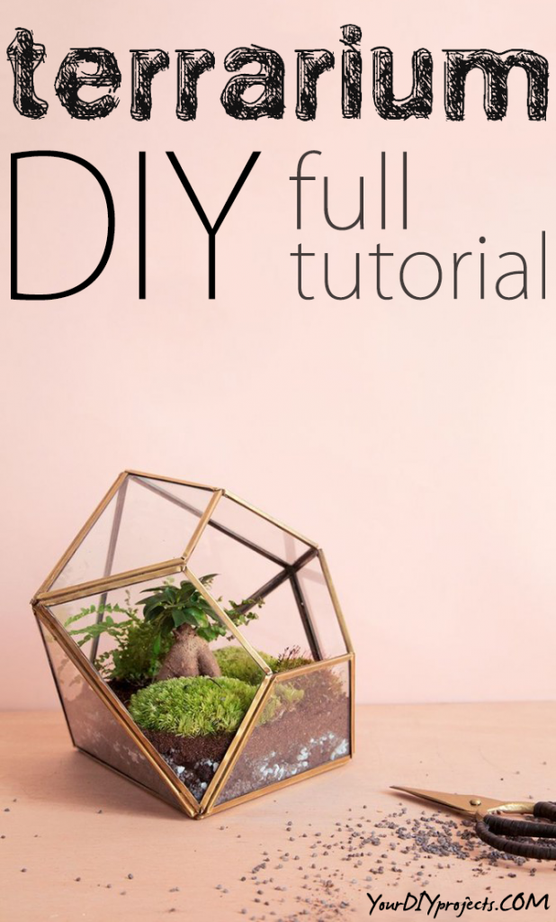 DIY Terrarium